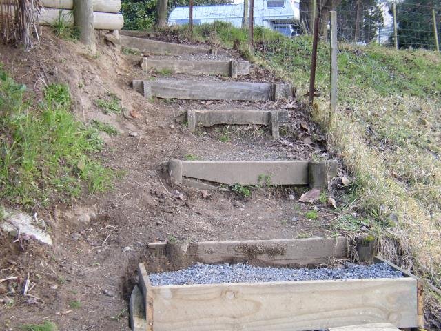 Rebuilding starts. Jan. 2002. Cambridge Tree Trust